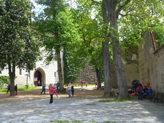 P1060462