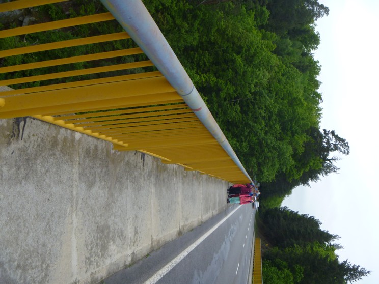 P1060529